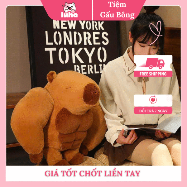 gấu bông lực sĩ