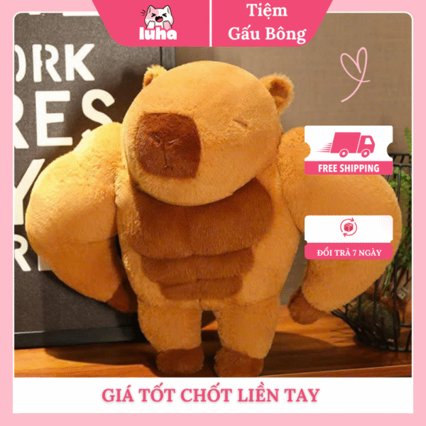 gấu bông lực sĩ