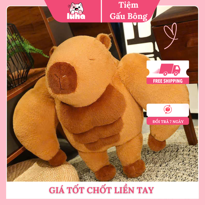 gấu bông lực sĩ