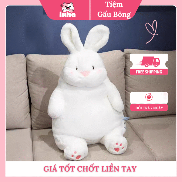 Thỏ má hồng cute