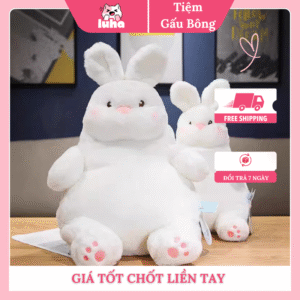 Thỏ má hồng cute
