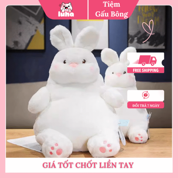 Thỏ má hồng cute