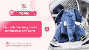Cách giặt gấu bông không bị biến dạng
