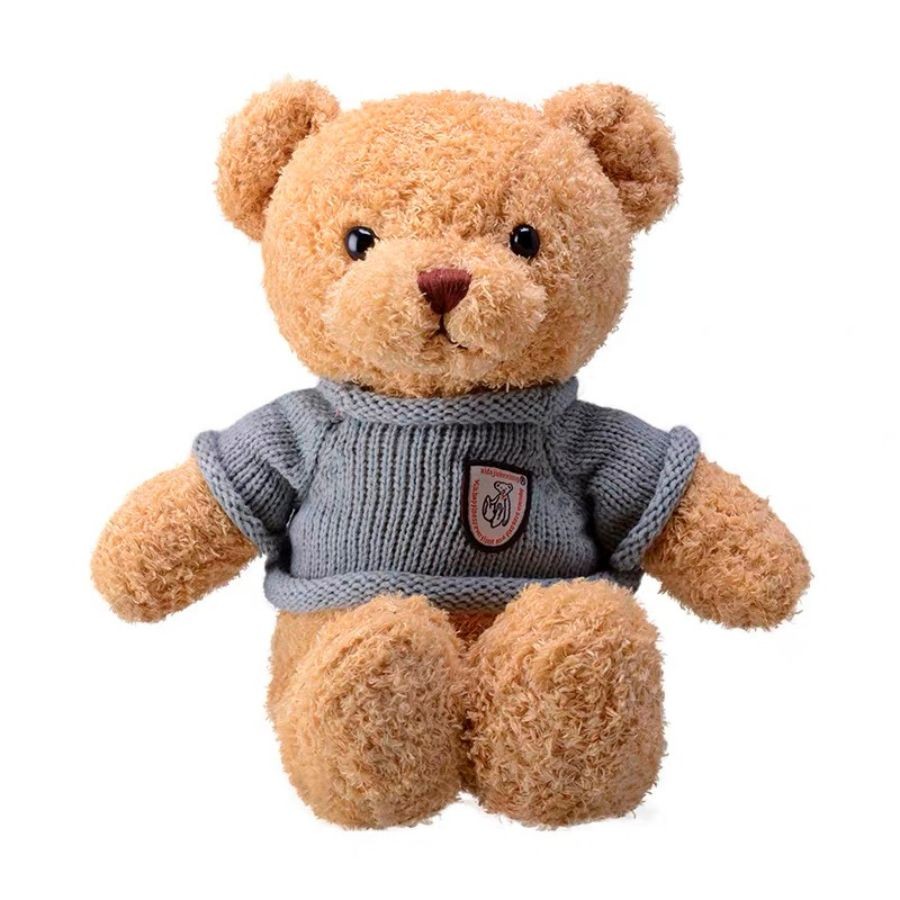 Gấu teddy