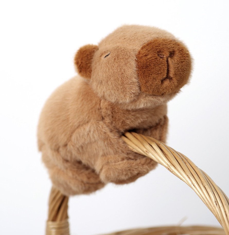 Gấu Bông 1 Món Quà Dễ Thương Khiến Ai Cũng Tan Chảy gau-bong-capybara